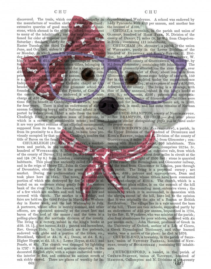 Bichon Frise with Glasses and Scarf
