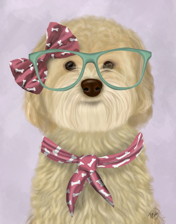 Cockerpoo, Blonde, with Glasses and Scarf