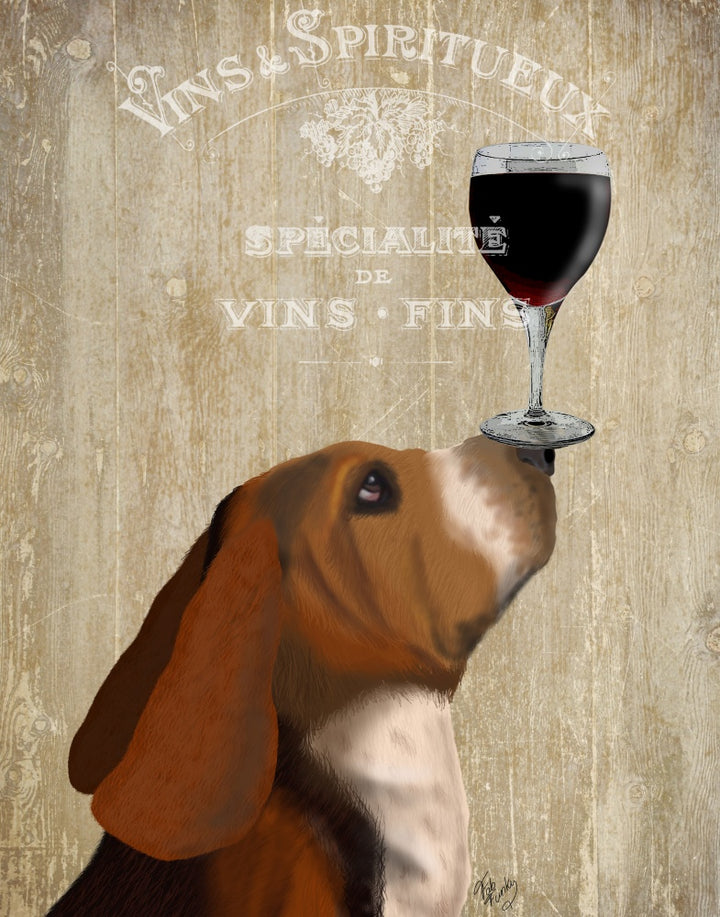 Dog Au Vin, Basset Hound
