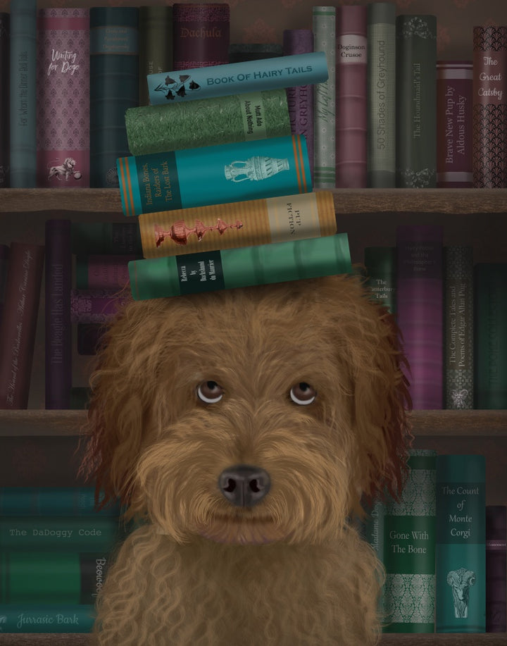 Labradoodle, Brown, and Books