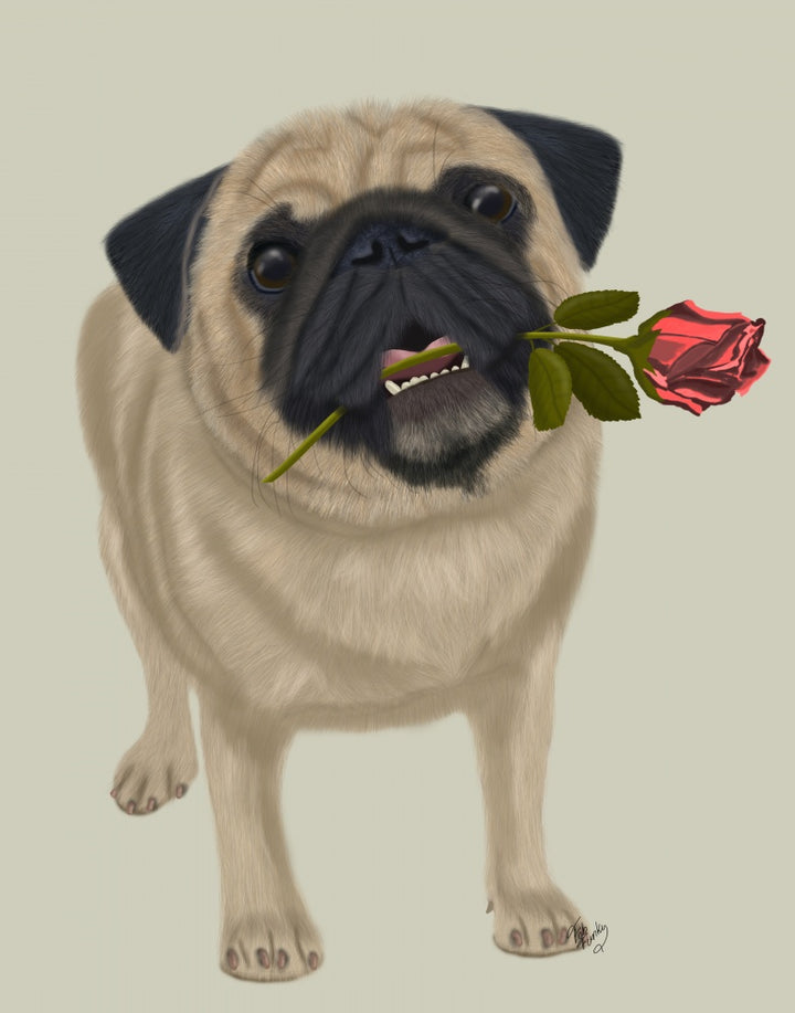 Pug and Rose
