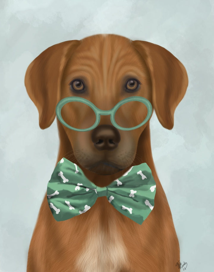 Rhodesian Ridgeback with Glasses and Bow Tie