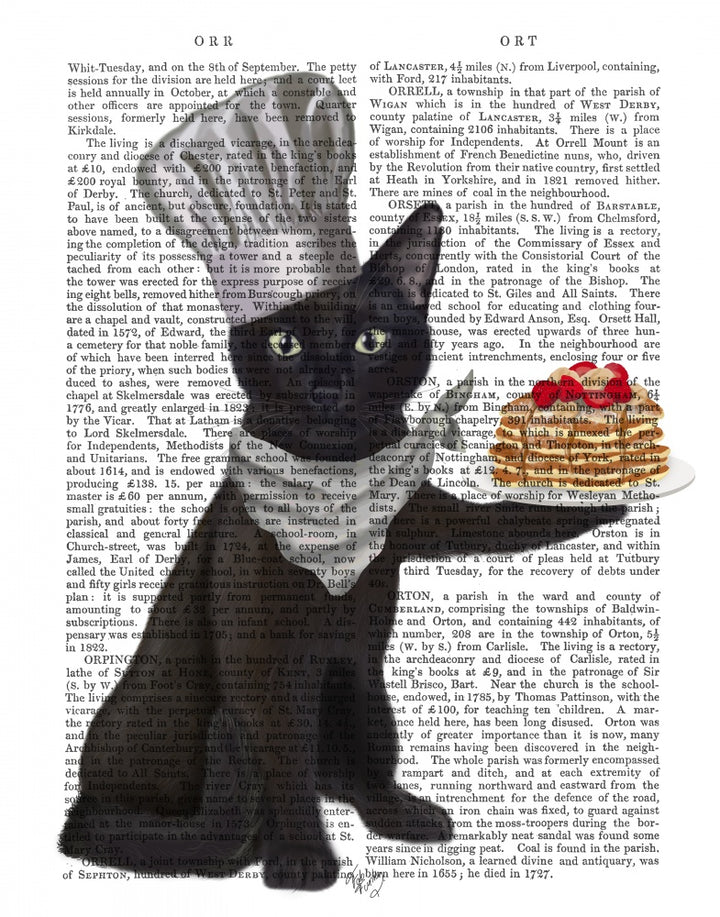 Black Cat Pancakes Book Print