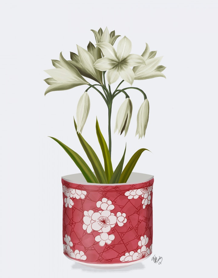 Chinoiserie Amaryllis White, Red Vase