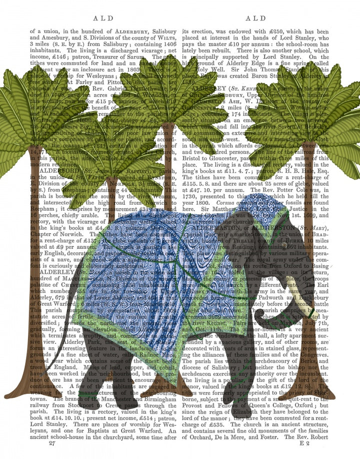 Elephant In Palms, Animalia Book Print
