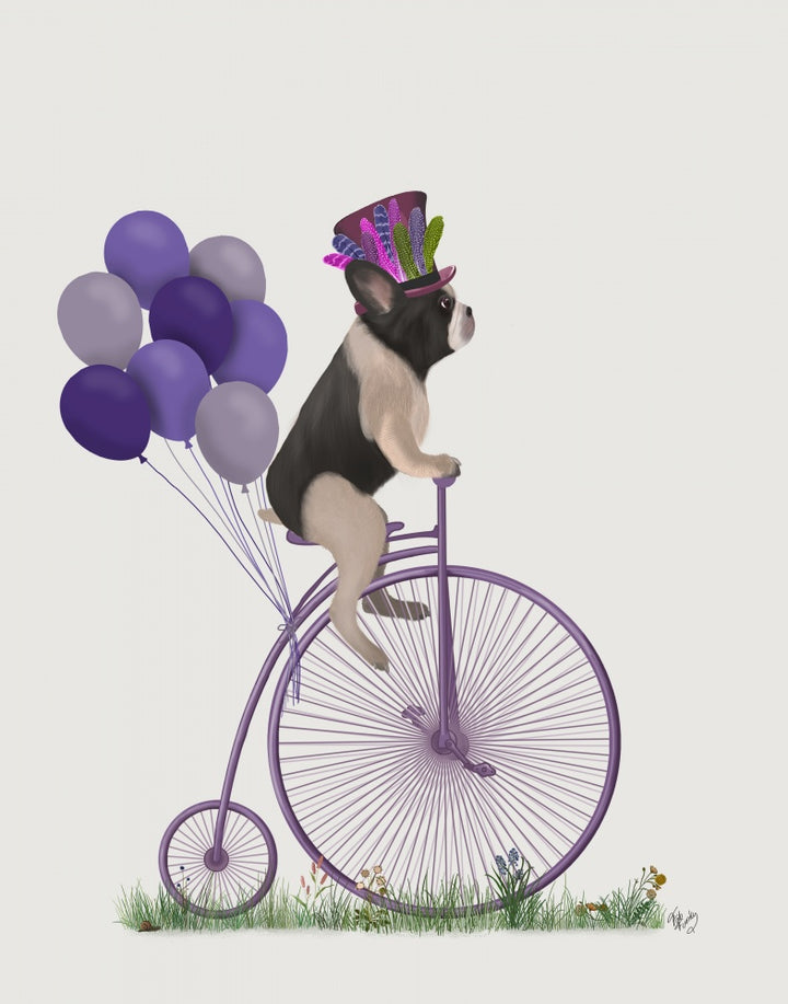 French Bulldog, Black White on Penny Farthing