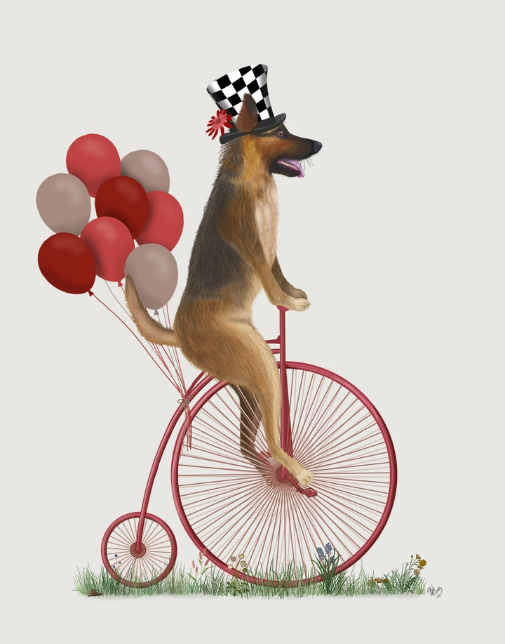 German Shepherd on Penny Farthing