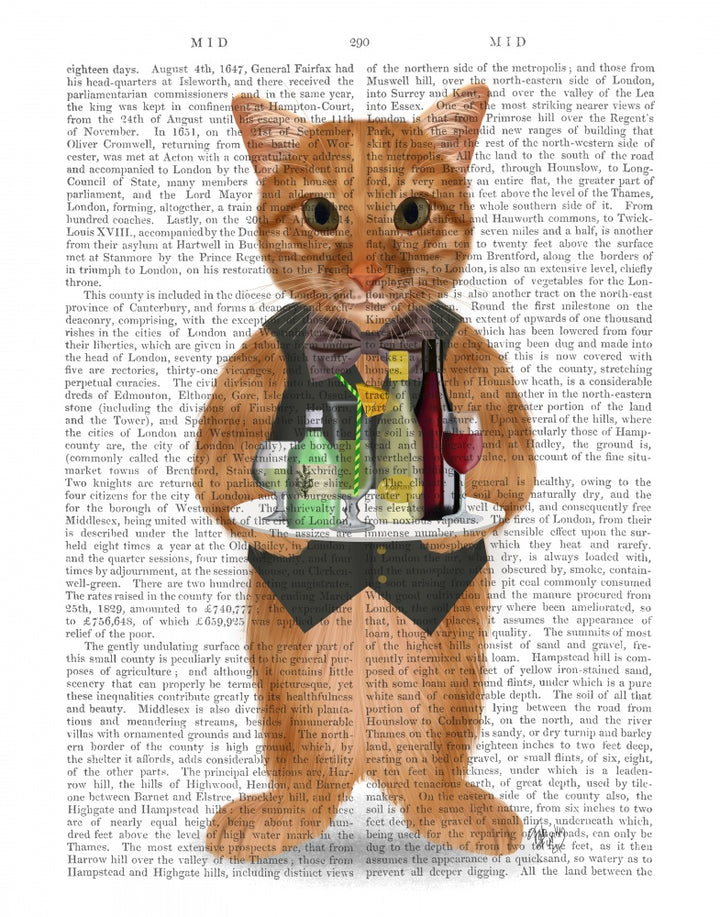Ginger Cat Cocktails Book Print