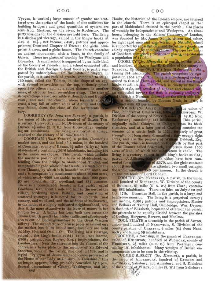 Golden Retriever Donuts Book Print