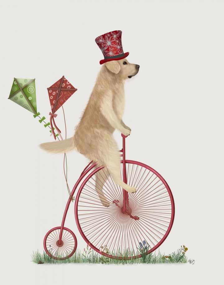 Golden Retriever on Penny Farthing