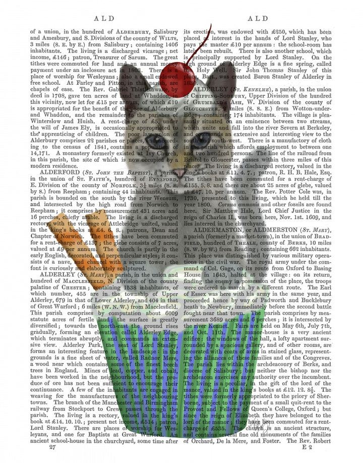 Grey Cat Cupcake Book Print