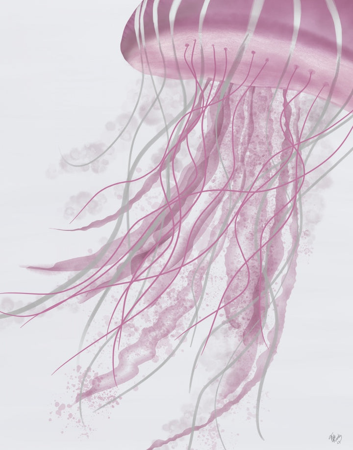 Jellyfish Drift in Pink