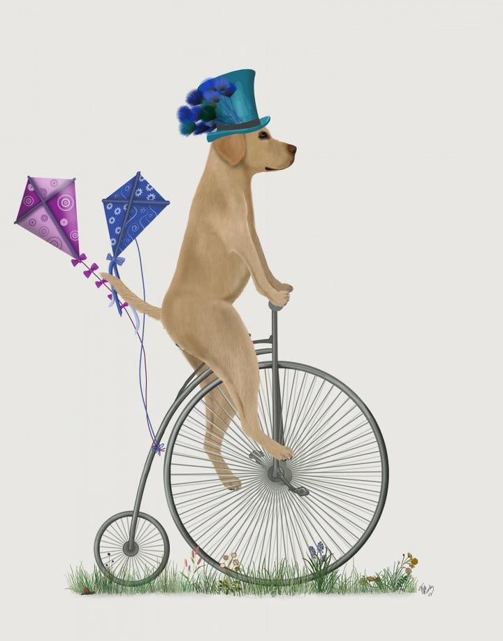 Labrador Yellow on Penny Farthing