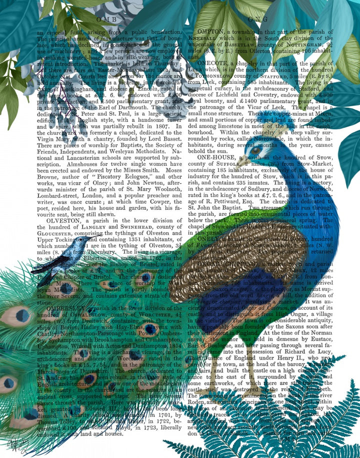 Peacock Garden 1 Book Print