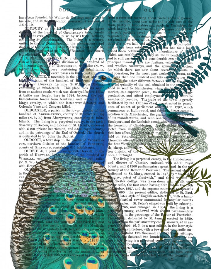 Peacock Garden 2 Book Print