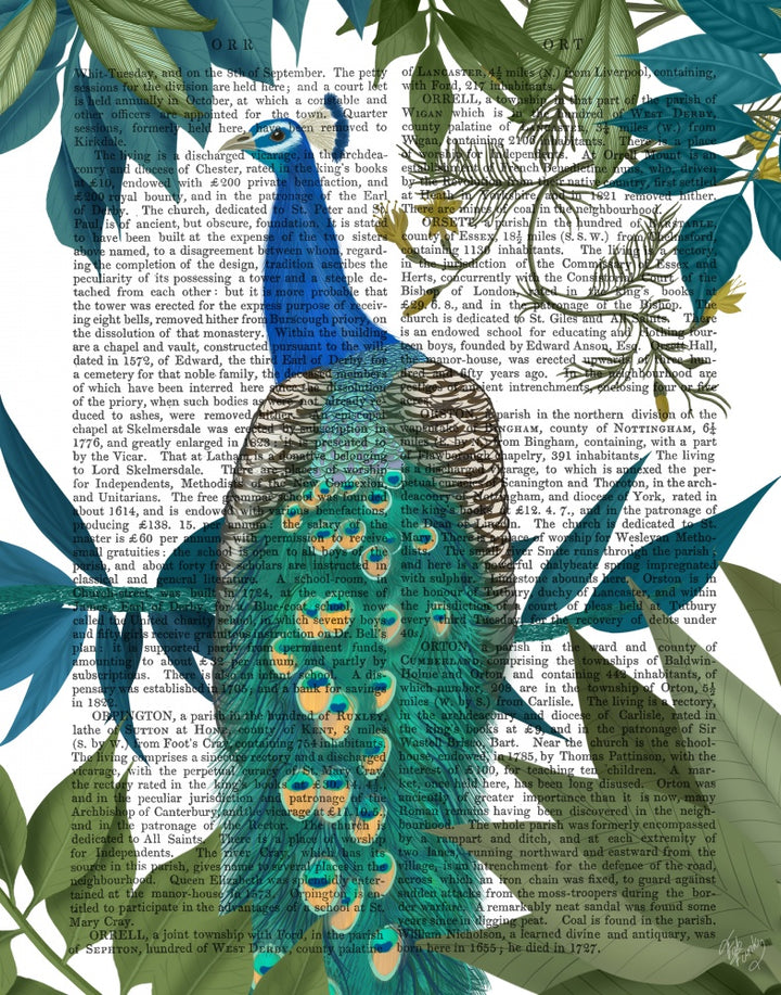 Peacock On Branch Book Print