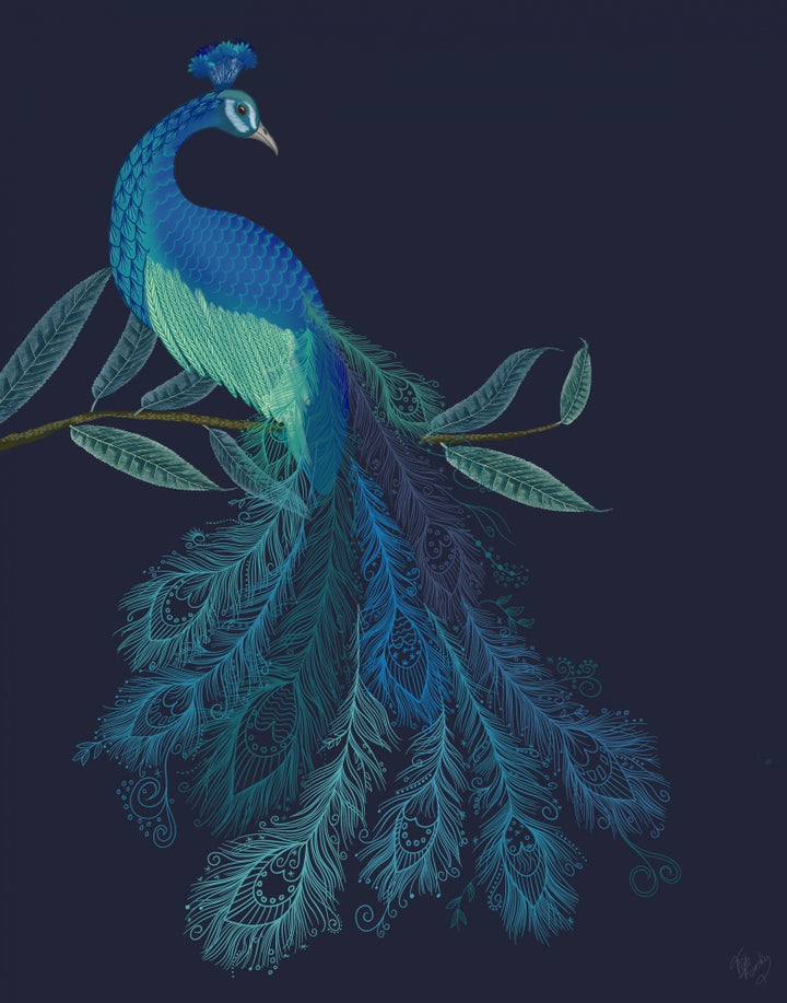Peacock with Doodle Tail on Blue