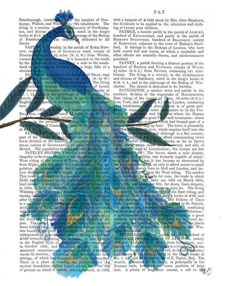 Peacock with Doodle Tail on White Book Print