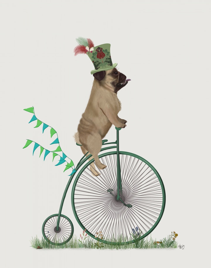 Pug on Penny Farthing