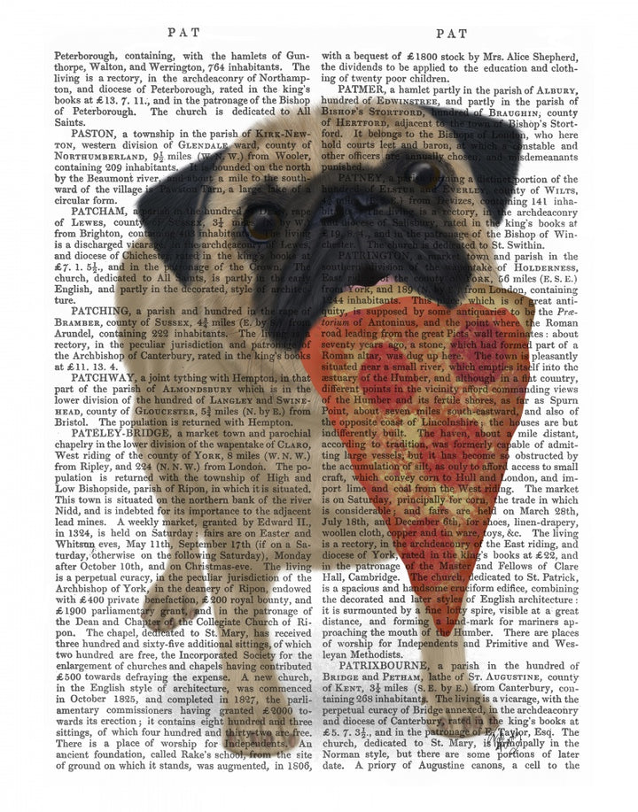 Pug Pizza 2 Book Print