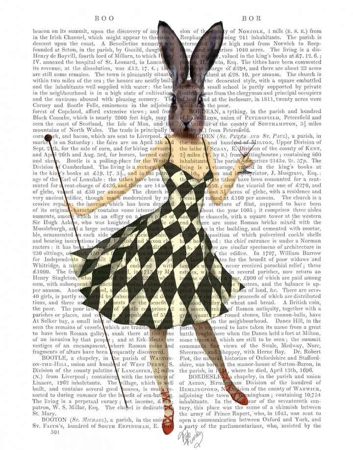 Rabbit and Cocktail Book Print