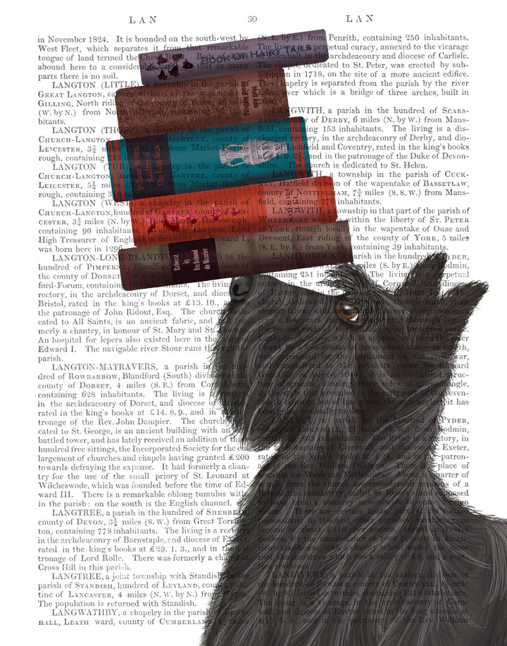 Scottish Terrier and Books