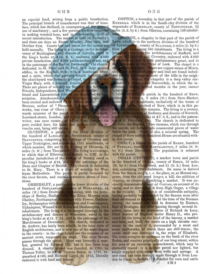 St Bernard Cake Bowl On Head Book Print