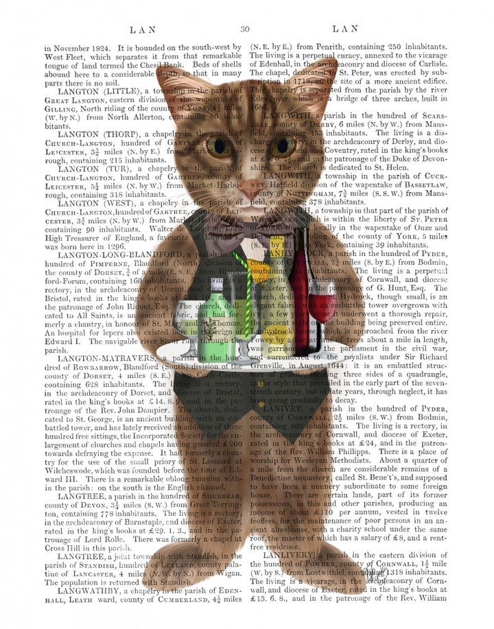 Tabby Cat Cocktails Book Print