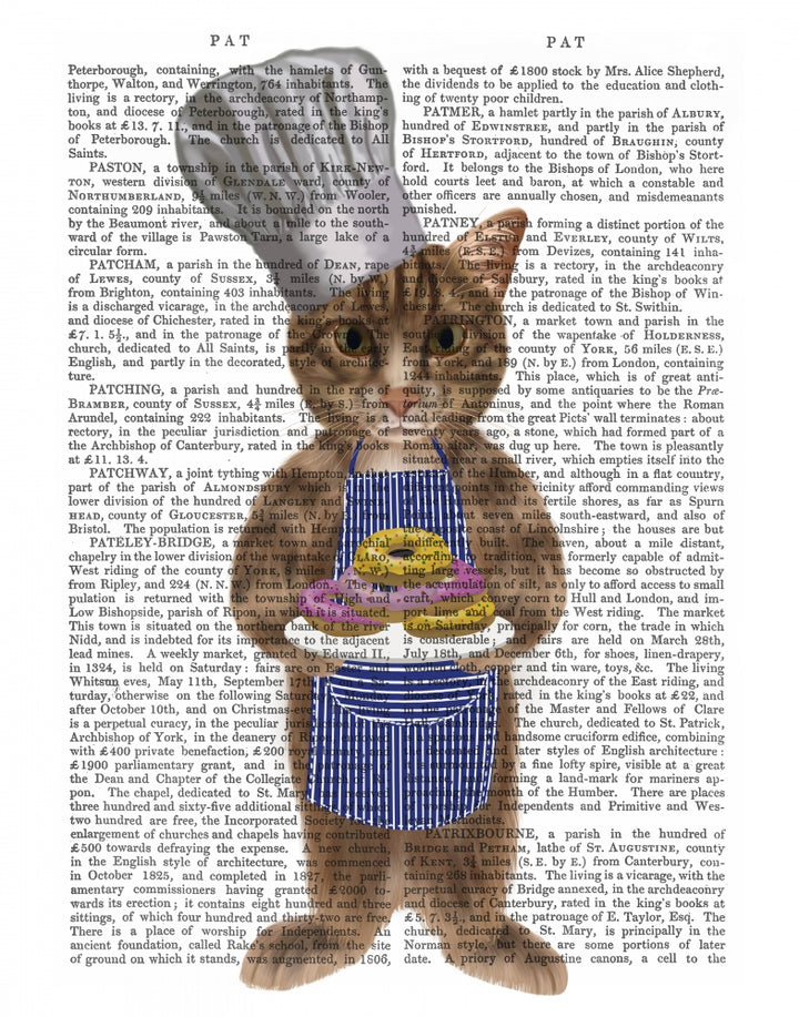 Tabby Cat Donut Chef Full Book Print