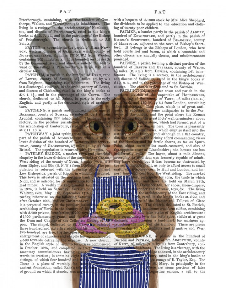 Tabby Cat Donut Chef Portrait Book Print