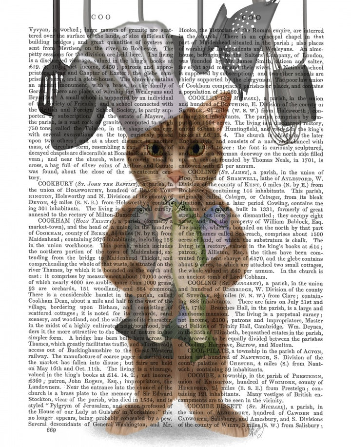 Tabby Cat Fish Chef, Full Book Print
