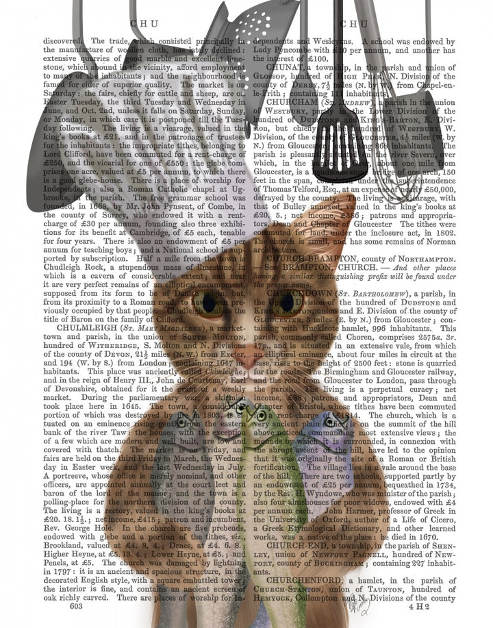 Tabby Cat Fish Chef, Portrait Book Print