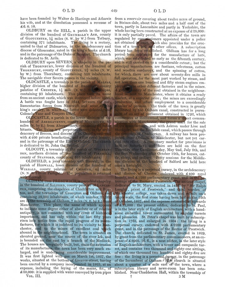 Yorkshire Terrier Cake Bowl Book Print