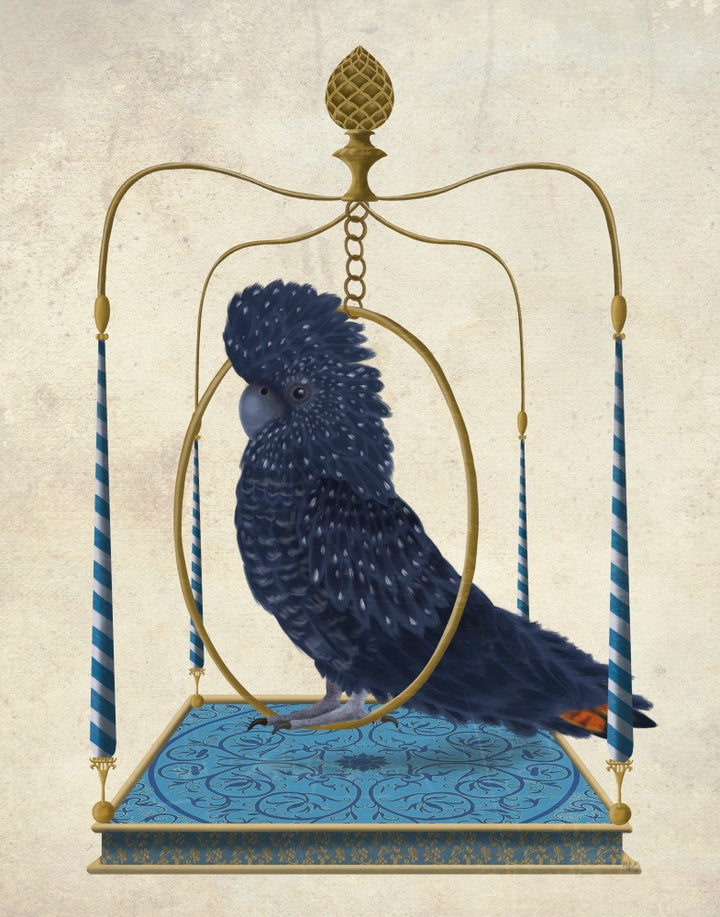Black Cockatoo on Swing