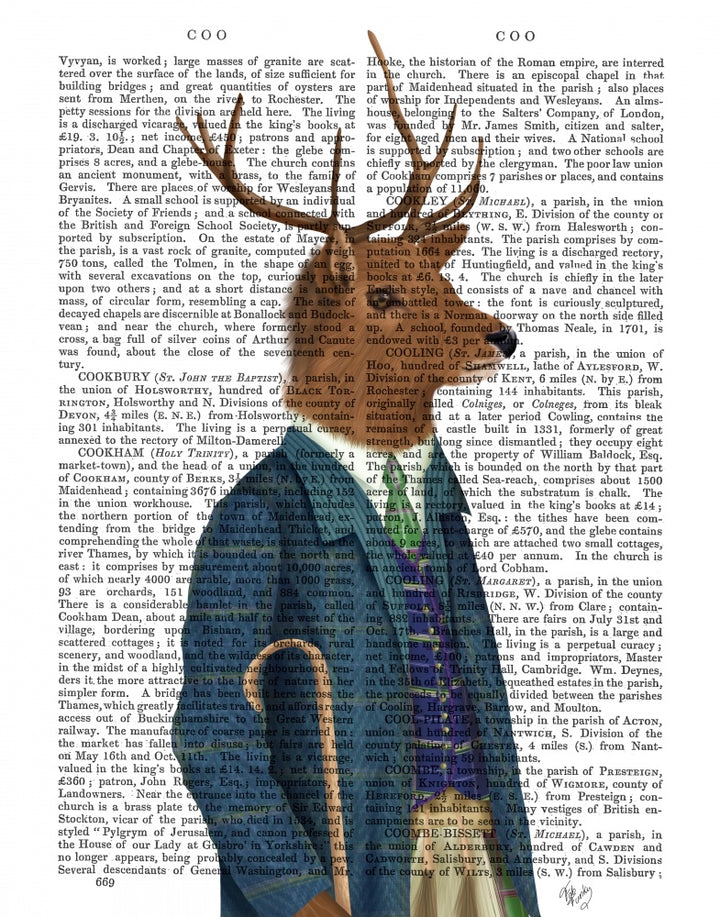 Scottish Deer Alistair McStag, Portrait, Book Print