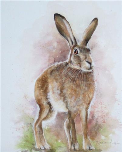 'Hare'