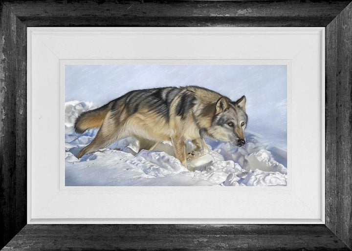Arctic Wolf