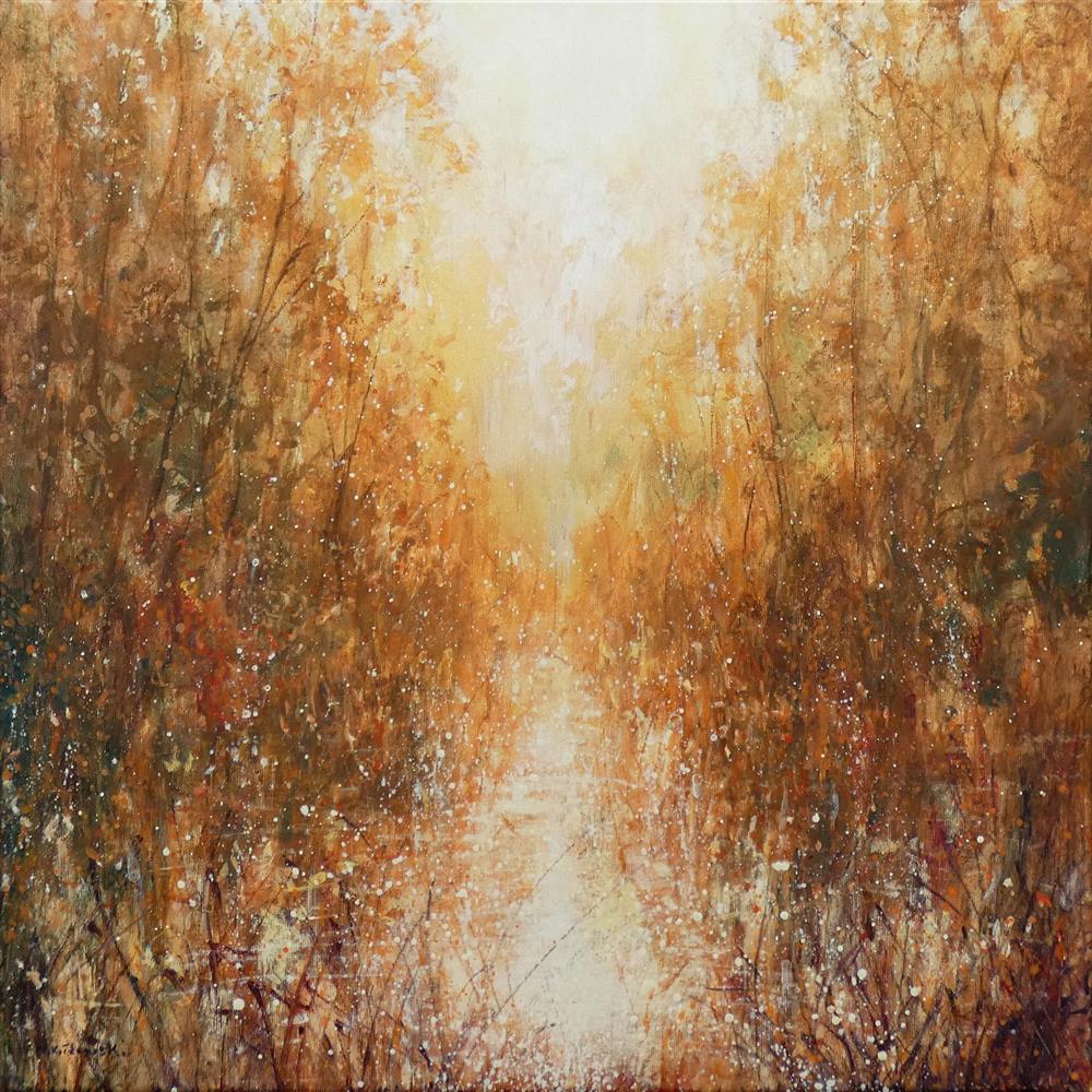 Autumn Walks