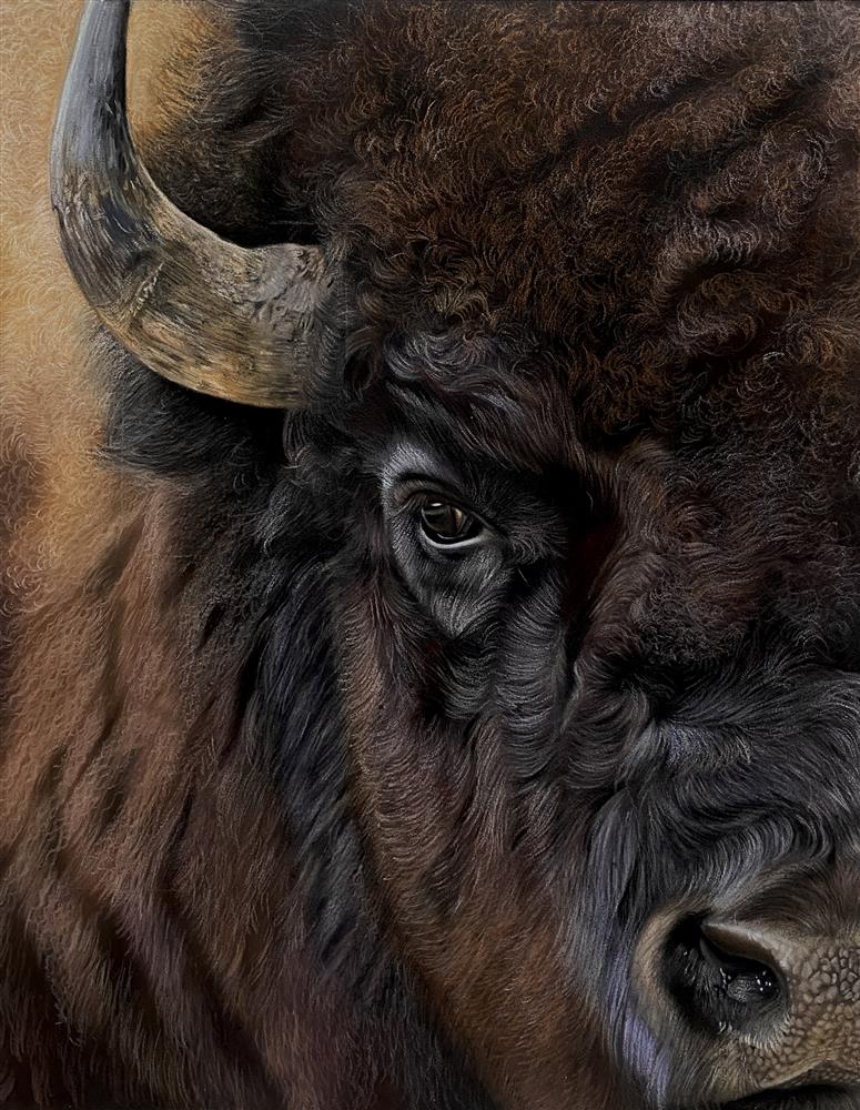 Bison