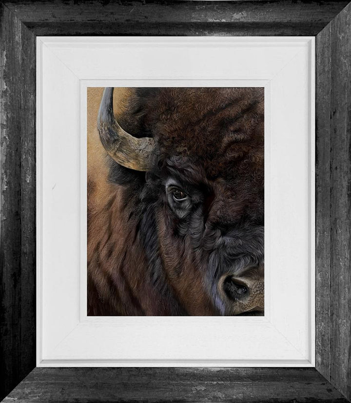 Bison