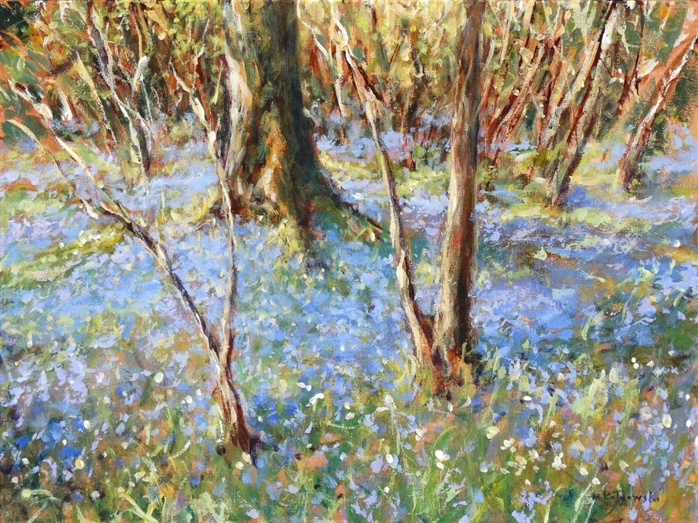 Bluebell Woods