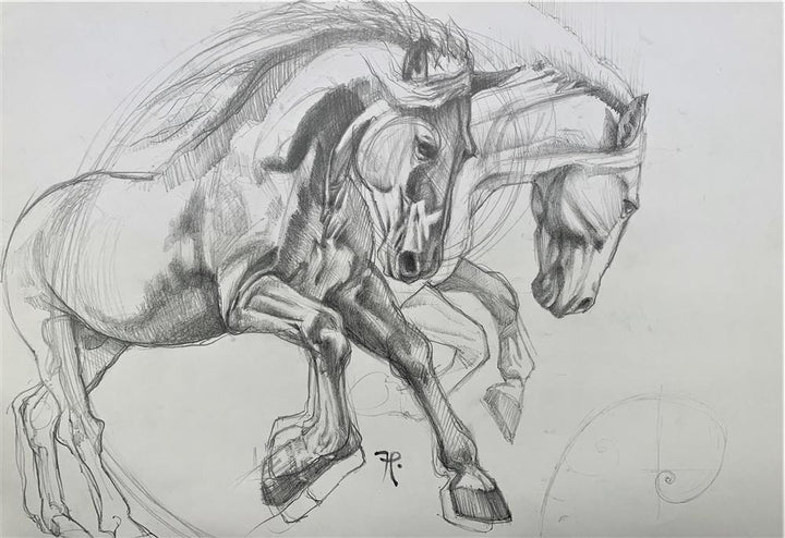 Galloping Of Dreams - Sketch