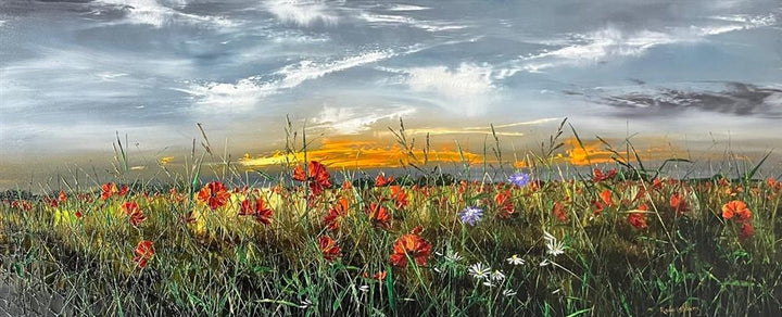 Life In Colour