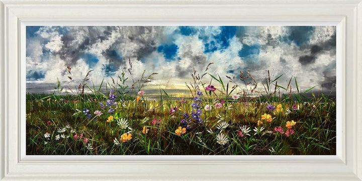 Field of Dreams