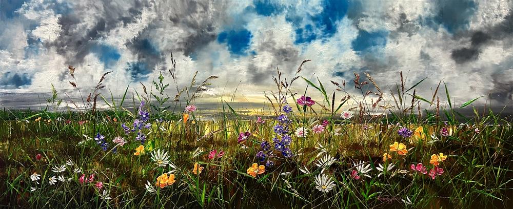 Field of Dreams