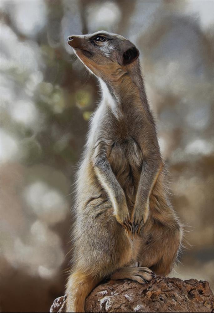 On the Lookout