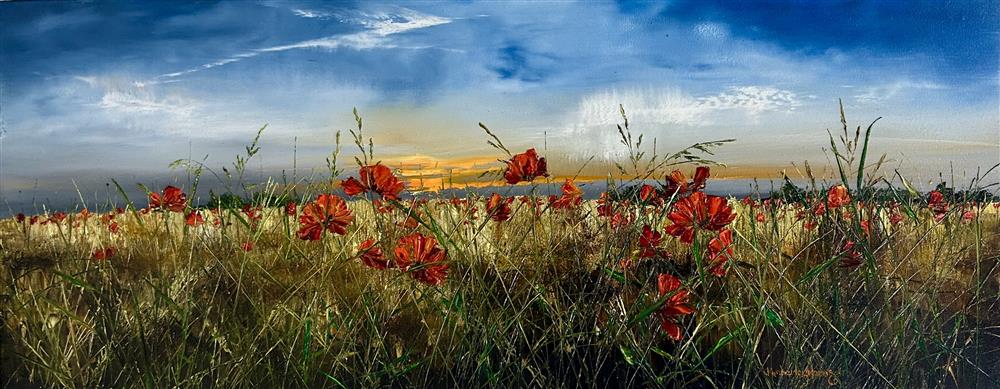Poppies In The Golden Light