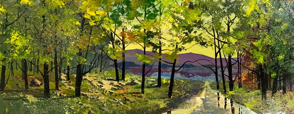 Road To The Lake