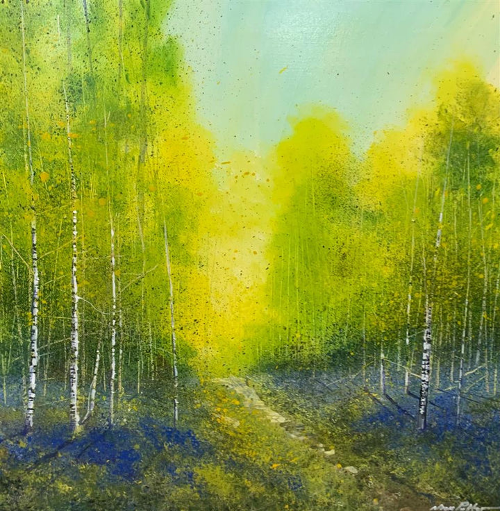 Spring Morning Light