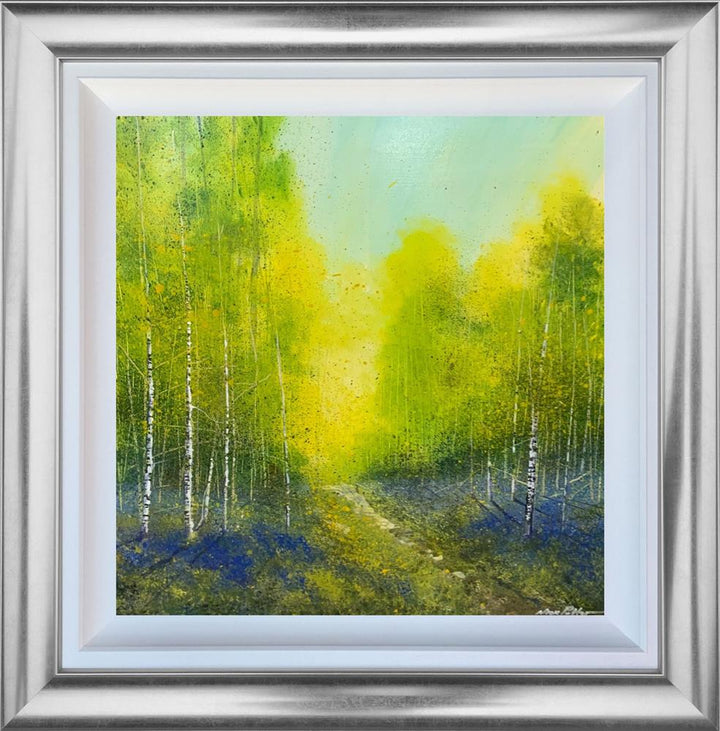 Spring Morning Light